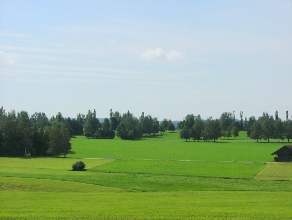 Golf without an official handicap in Germany